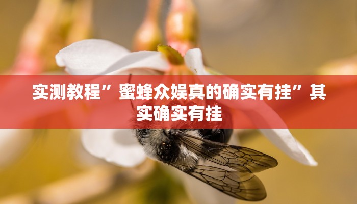 实测教程”蜜蜂众娱真的确实有挂”其实确实有挂