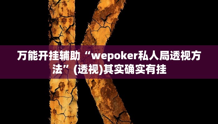 万能开挂辅助“wepoker私人局透视方法”(透视)其实确实有挂