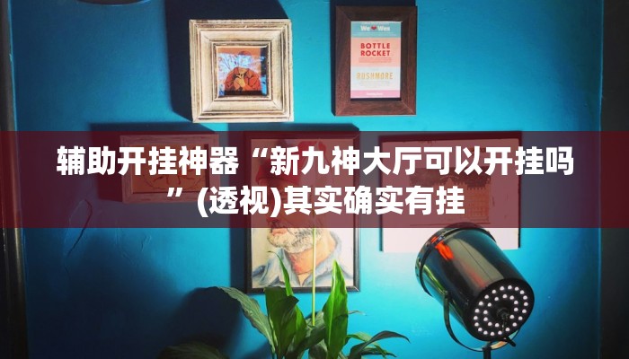 辅助开挂神器“新九神大厅可以开挂吗”(透视)其实确实有挂