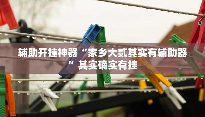 辅助开挂神器“家乡大贰其实有辅助器”其实确实有挂