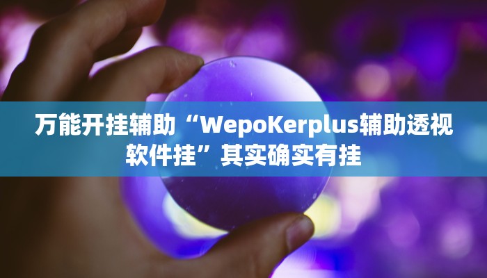 万能开挂辅助“WepoKerplus辅助透视软件挂”其实确实有挂