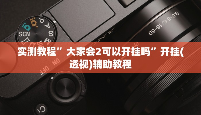 实测教程”大家会2可以开挂吗”开挂(透视)辅助教程