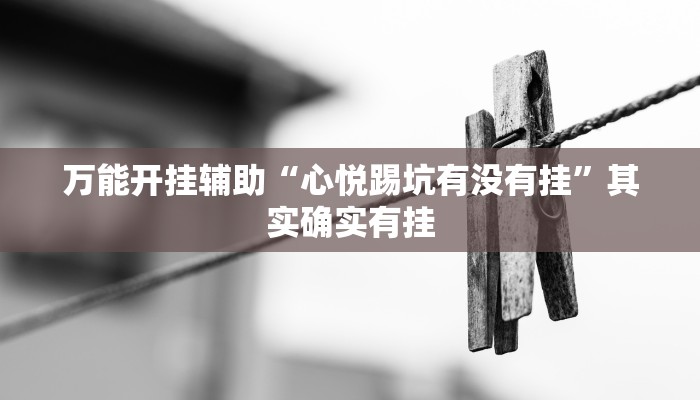 辅助开挂神器“中至余干麻将开挂方法”其实确实有挂