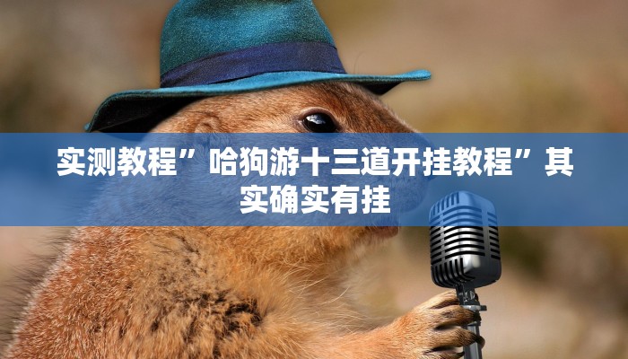 实测教程”哈狗游十三道开挂教程”其实确实有挂