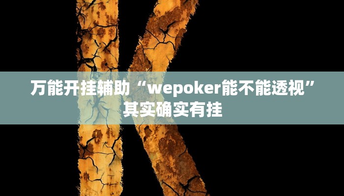 万能开挂辅助“wepoker能不能透视”其实确实有挂