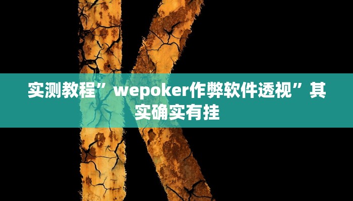 实测教程”wepoker作弊软件透视”其实确实有挂