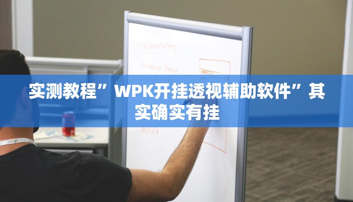 实测教程”WPK开挂透视辅助软件”其实确实有挂