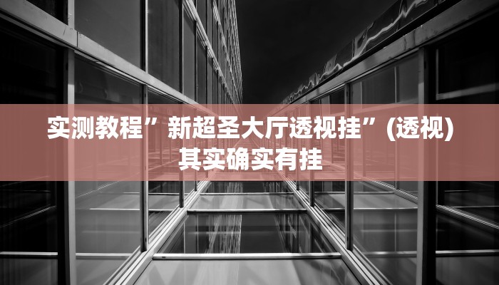 实测教程”新超圣大厅透视挂”(透视)其实确实有挂 实测教程”新超圣大厅透视挂”(透视)其实确实有挂