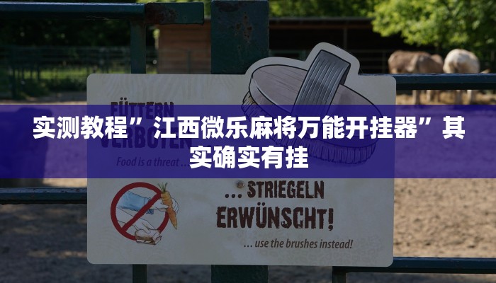 实测教程”江西微乐麻将万能开挂器”其实确实有挂