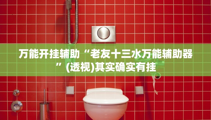 万能开挂辅助“老友十三水万能辅助器”(透视)其实确实有挂