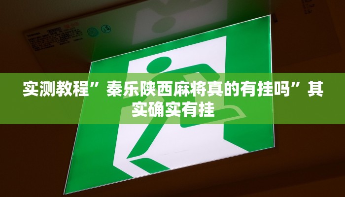 实测教程”秦乐陕西麻将真的有挂吗”其实确实有挂 实测教程”秦乐陕西麻将真的有挂吗”其实确实有挂