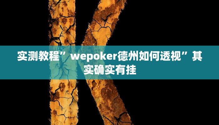 实测教程”wepoker德州如何透视”其实确实有挂