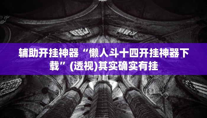 辅助开挂神器“懒人斗十四开挂神器下载”(透视)其实确实有挂