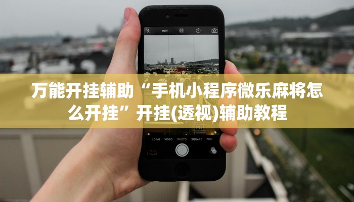 万能开挂辅助“手机小程序微乐麻将怎么开挂”开挂(透视)辅助教程 万能开挂辅助“手机小程序微乐麻将怎么开挂”开挂(透视)辅助教程