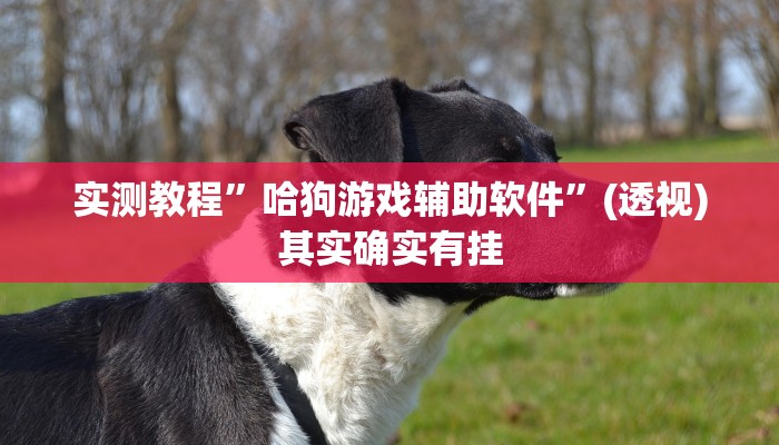 实测教程”欢乐龙城3辅助下载”开挂(透视)辅助教程