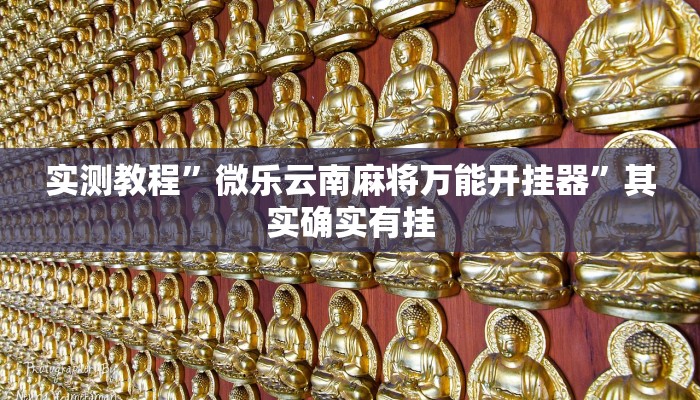 实测教程”微乐云南麻将万能开挂器”其实确实有挂