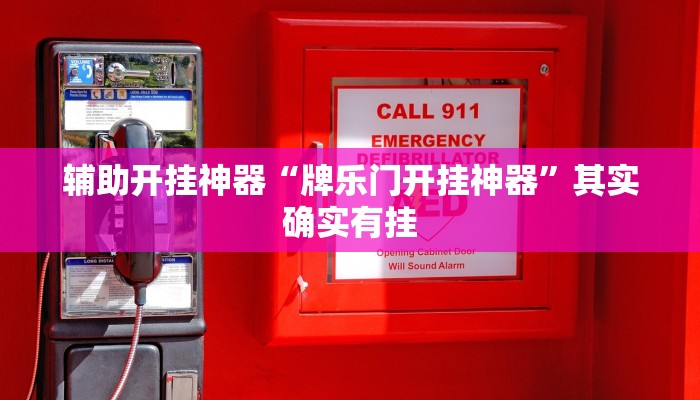 辅助开挂神器“畅玩十三张开挂辅助软件”详细分享装挂步骤教程 辅助开挂神器“畅玩十三张开挂辅助软件”详细分享装挂步骤教程