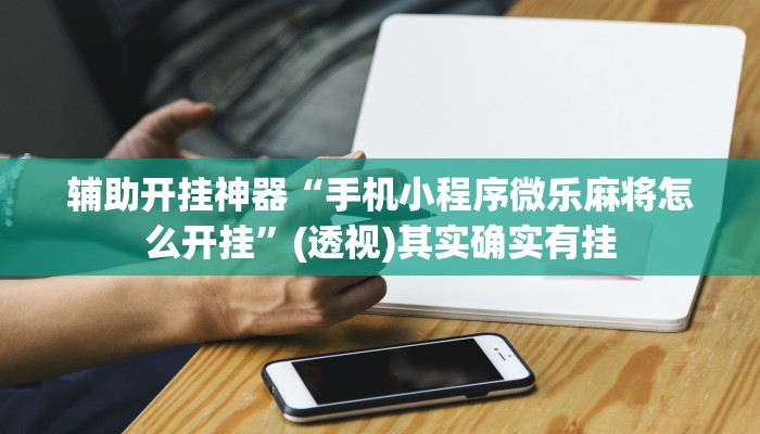 辅助开挂神器“丁丁麻将辅助开挂工具”其实确实有挂