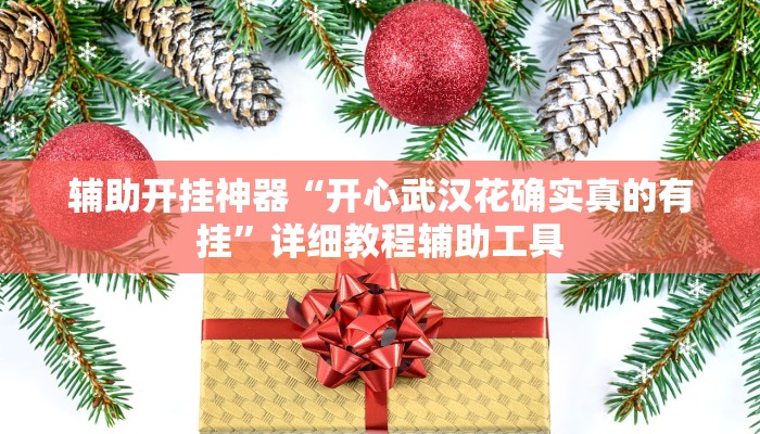 辅助开挂神器“开心武汉花确实真的有挂”详细教程辅助工具