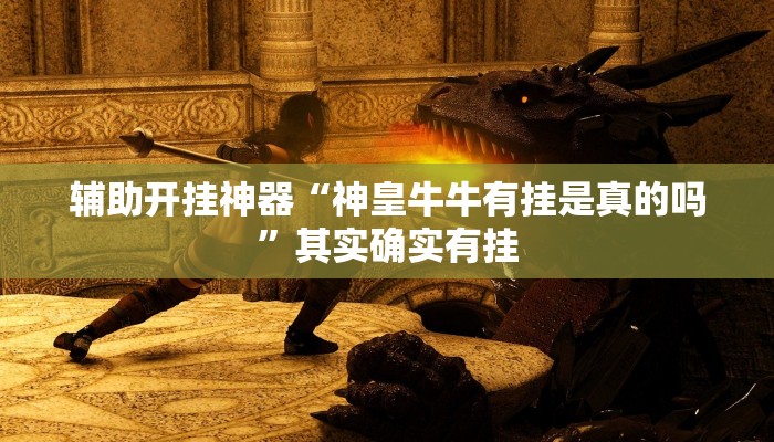 辅助开挂神器“旺旺南平开挂透视神器”(透视)其实确实有挂