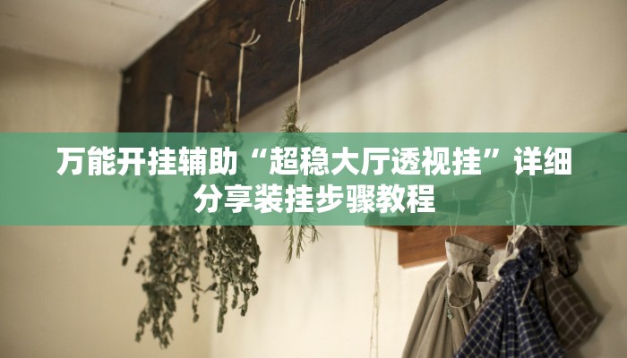 万能开挂辅助“超稳大厅透视挂”详细分享装挂步骤教程