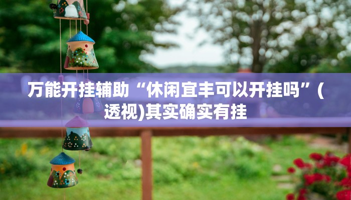 万能开挂辅助“休闲宜丰可以开挂吗”(透视)其实确实有挂