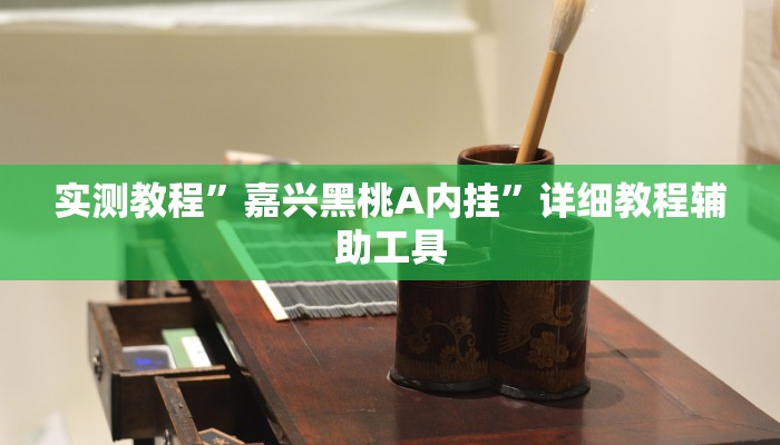 实测教程”嘉兴黑桃A内挂”详细教程辅助工具