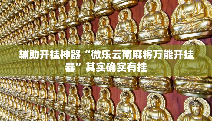 辅助开挂神器“微乐云南麻将万能开挂器”其实确实有挂