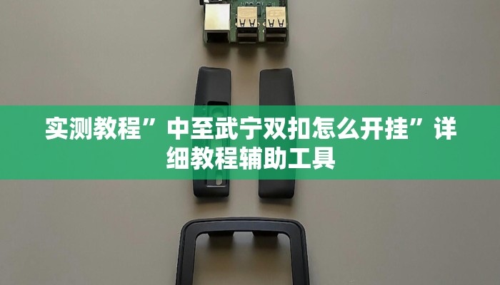 实测教程”中至武宁双扣怎么开挂”详细教程辅助工具