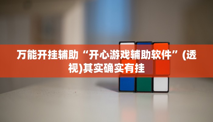 万能开挂辅助“开心游戏辅助软件”(透视)其实确实有挂