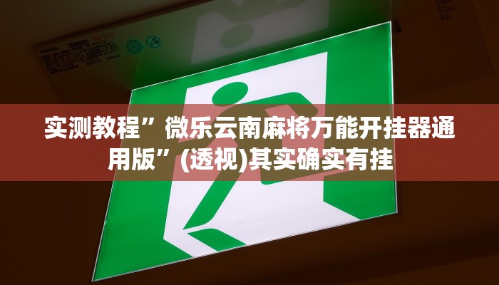 实测教程”微乐云南麻将万能开挂器通用版”(透视)其实确实有挂