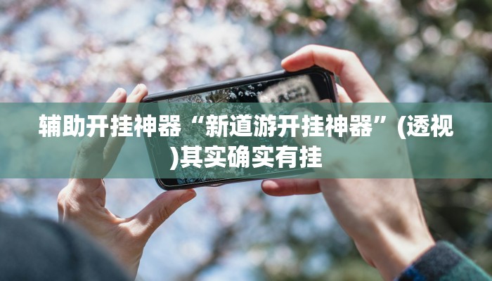 辅助开挂神器“新道游开挂神器”(透视)其实确实有挂