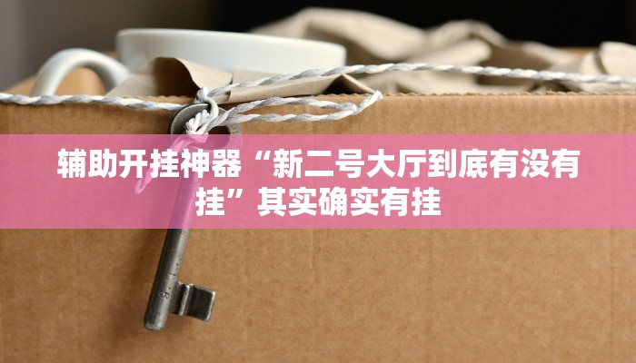 辅助开挂神器“欢乐南通长牌开挂辅助软件”详细教程辅助工具