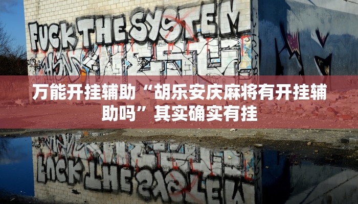 辅助开挂神器“微乐宁夏开挂器通用版”其实确实有挂