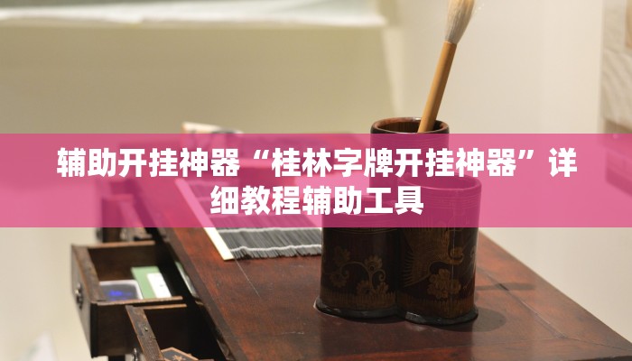 辅助开挂神器“桂林字牌开挂神器”详细教程辅助工具