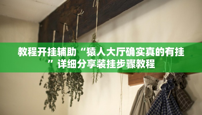 教程开挂辅助“猿人大厅确实真的有挂”详细分享装挂步骤教程