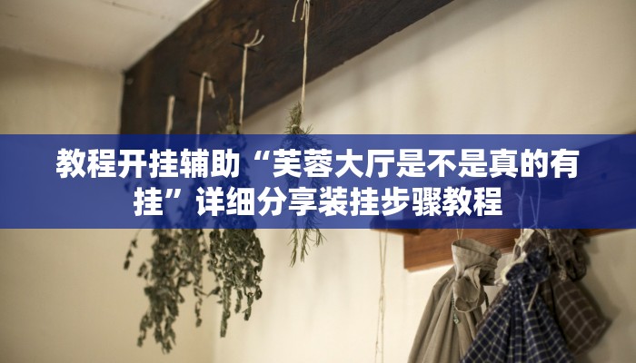 辅助开挂神器“陕西奇迹麻将开挂”详细分享装挂步骤教程