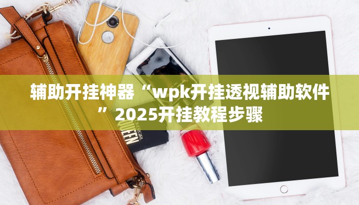 辅助开挂神器“wpk开挂透视辅助软件”2025开挂教程步骤