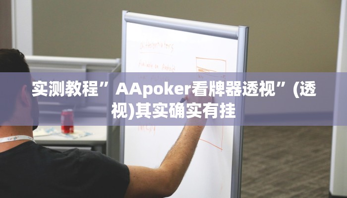 实测教程”AApoker看牌器透视”(透视)其实确实有挂
