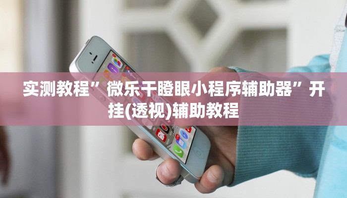 实测教程”微乐干瞪眼小程序辅助器”开挂(透视)辅助教程