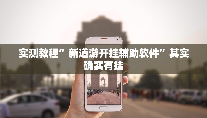 实测教程”新道游开挂辅助软件”其实确实有挂