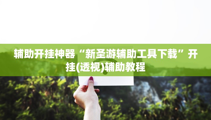 辅助开挂神器“新圣游辅助工具下载”开挂(透视)辅助教程