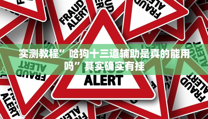 实测教程”哈狗十三道辅助是真的能用吗”其实确实有挂