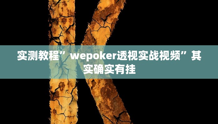 实测教程”wepoker透视实战视频”其实确实有挂