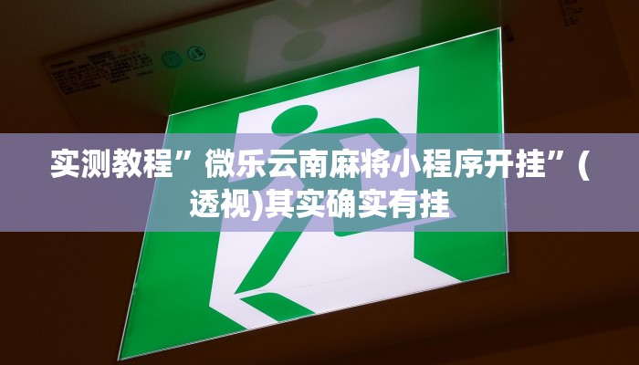 实测教程”微乐云南麻将小程序开挂”(透视)其实确实有挂