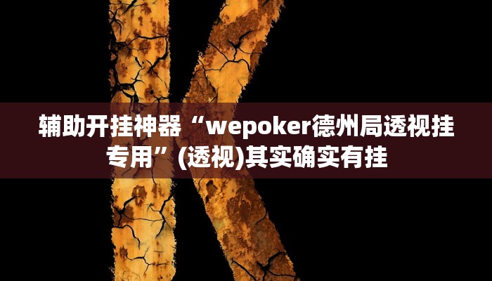 辅助开挂神器“wepoker德州局透视挂专用”(透视)其实确实有挂