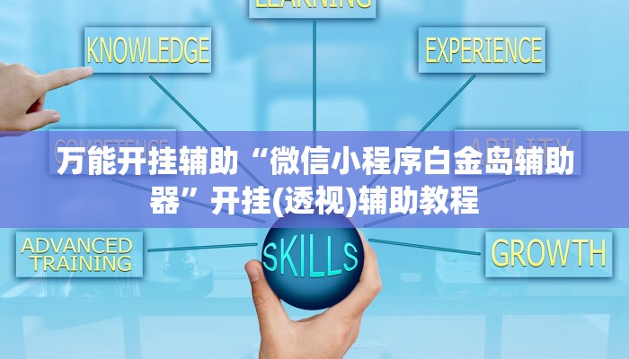 万能开挂辅助“微信小程序白金岛辅助器”开挂(透视)辅助教程