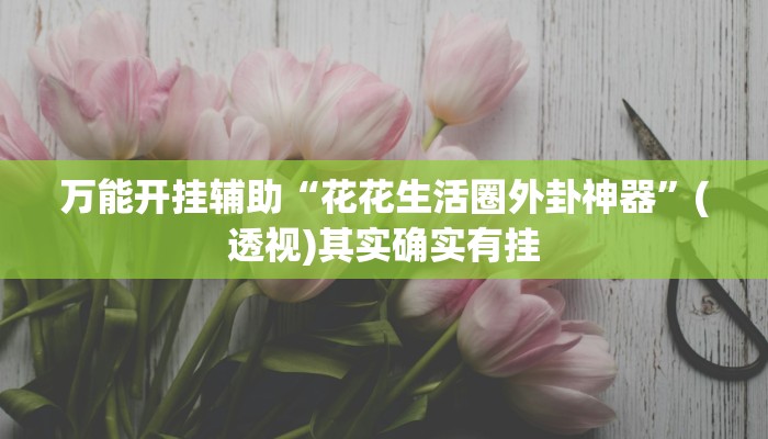 万能开挂辅助“花花生活圈外卦神器”(透视)其实确实有挂