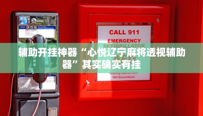 辅助开挂神器“心悦辽宁麻将透视辅助器”其实确实有挂