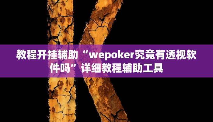 教程开挂辅助“wepoker究竟有透视软件吗”详细教程辅助工具